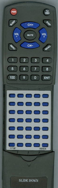 EMERSON RT13171067 Replacement Remote